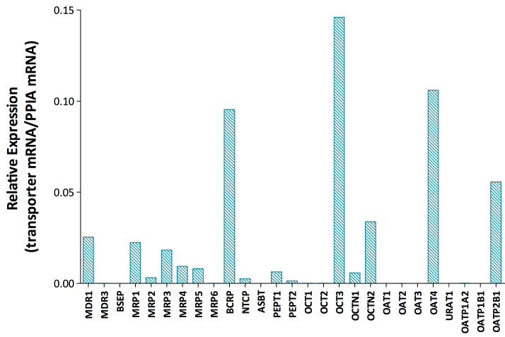 Graphical Representation of qPCR Data